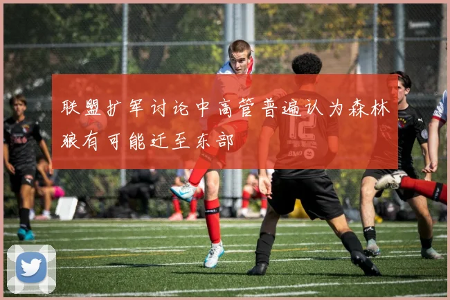 联盟扩军讨论中高管普遍认为森林狼有可能迁至东部
